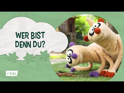 Jan & Henry Lieder: Wer bist denn du? | Unser Sandmännchen
