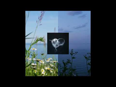 [2022] Alexander Panos - Nascent [Full Album] (Genre : electronic, experimental)