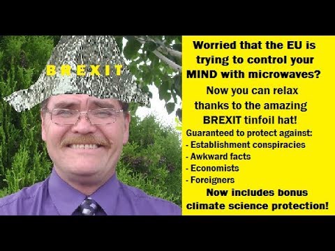 Moron of the Week: Brexit loon Wayne from Chelmsford doesn't have a clue