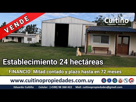 Establecimiento 24 hectáreas agrícola ganadero sobre ruta en San Ramón Canelones Uruguay 