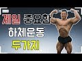 하체운동 두가지운동만으로 정복하기