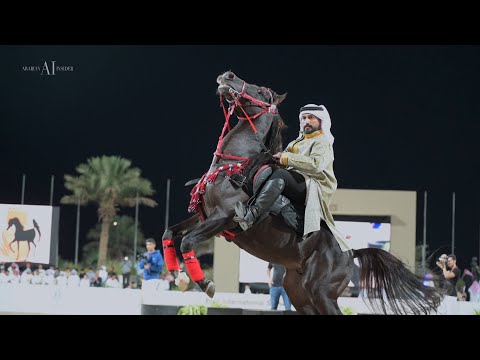 ERAB ARABIAN HORSES INTERNATIONAL SHOW 2022 - The Official Aftermovie
