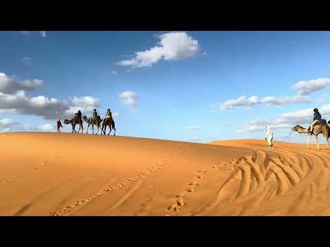 Sahara - Camel Ride 2