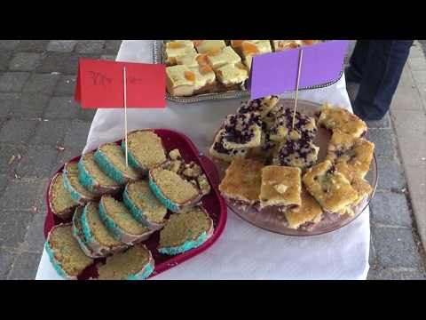 Buntes Stadtteilfest - ELSTERWELLE