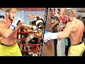 BRUTE POWER! LOGAN PAUL TEES OFF HEAVY BAG & MITTS IN FINAL WORKOUT FOR FLOYD MAYWEATHER FIGHT