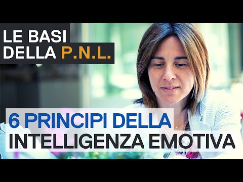 #pnl | I 6 Principi dell'INTELLIGENZA EMOTIVA