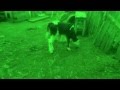 Смотреть под накурку 