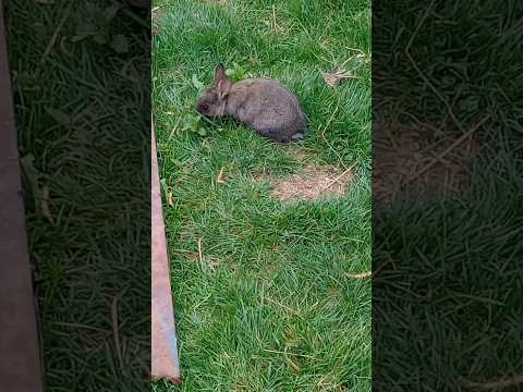 ☺️????????????Hudba Michal Tučný - Abych tu žil