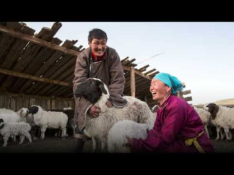 COAG 28th Session and COAG’s Sub-Committee on Livestock