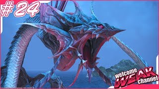 【FAINAL FANTASY XIV】混沌の渦動#24