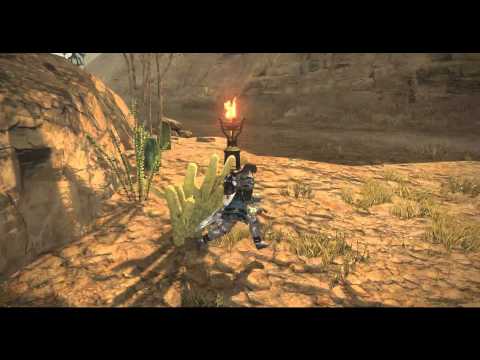 FFXIV Draconis Fiatlux - Cactus Problems