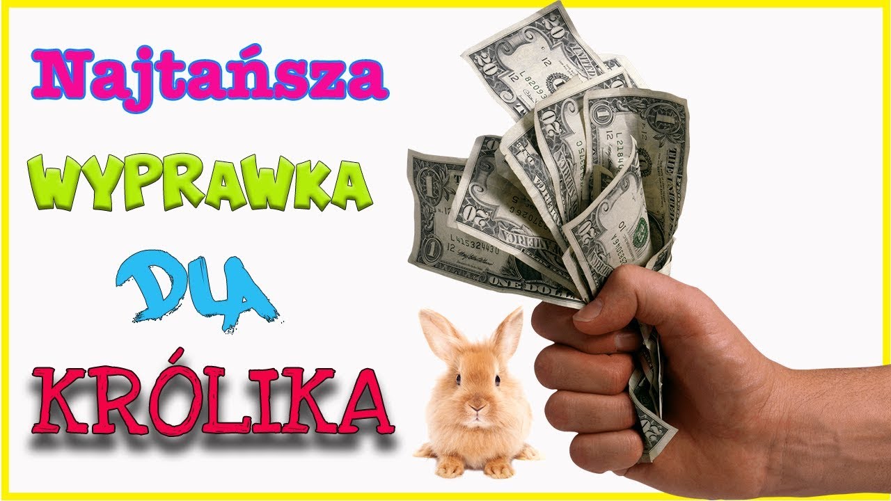 ‼️💰NAJTAŃSZA💰 wyprawka dla 🐰królika🐰w 🇵🇱POLSCE🇵🇱 A MOŻE I NA 🌍ŚWIECIE🌍‼️