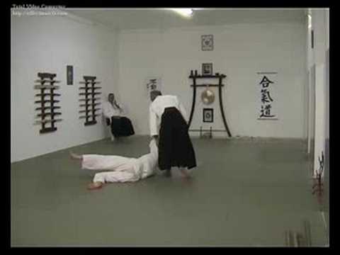 Aikido iwama floridia hagakure - shiho nage
