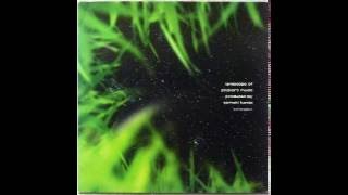 Tomoki Kanda - Safari