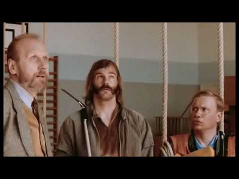 Siivoton juttu - Mistäs sen näkee et nää ikkunat on pesty