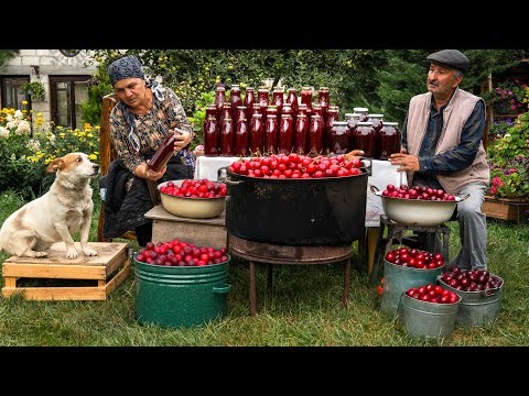 Traditional Wild Cherry Plum Preservation 🍒🫙 | No Fridge Needed...