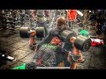 STANIMAL x SHAWN RHODEN : PECS Psychofitness style