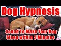 Dog Hypnosis Sound To Make Your Dog Sleep Within 5 Minutes