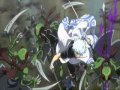 Gintama AMV [Dilemma] 