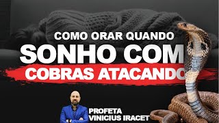 COMO ORAR QUANDO SONHO COM COBRAS ATACANDO | Profeta Vinicius Iracet