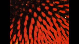 Harmonicas Are Shite - Fila Brazillia