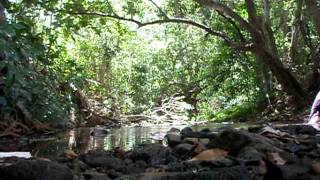 The Violet Hour (fan video) - The Civil Wars