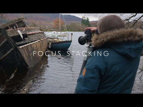 What is focus stacking and what are the benefits? Nikon School's Neil Freeman explains