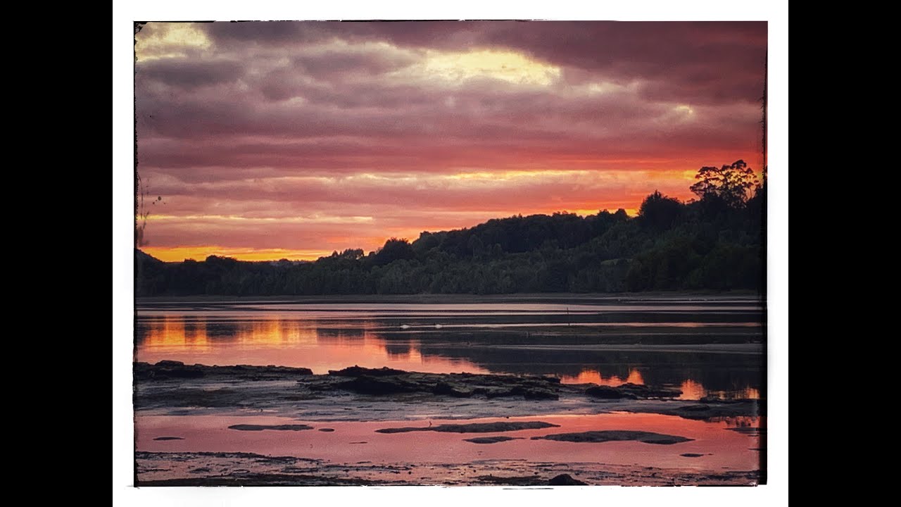 Fabiola Narváez Ojeda-8