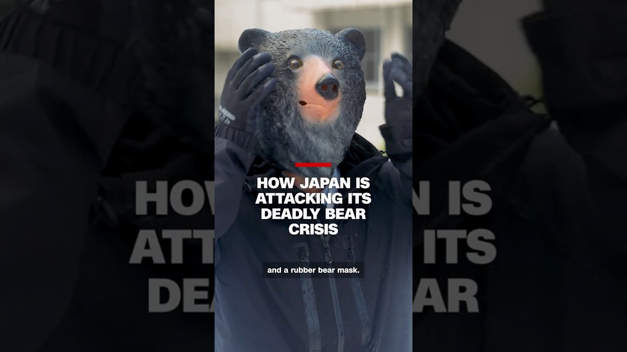 How Japan is attacking its deadly bear crisis