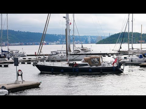 Dog on a sailboat -- bluewater cruiser Freja 2015 Discovery 55 (bringing a black suitcase on a boat)