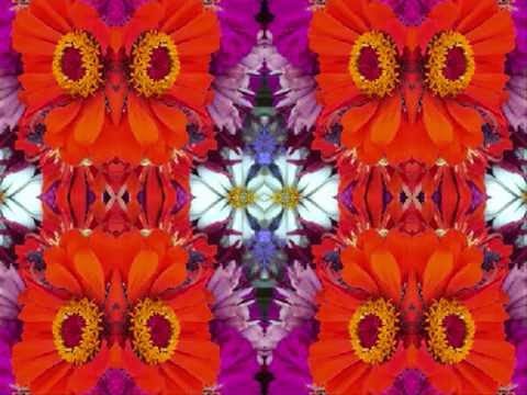 download lagu mp3 mp4 Bert Jansch Download, download lagu Bert Jansch Download gratis, unduh video klip Bert Jansch Download