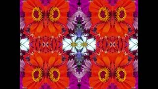 A Rare (Unnamed) Instrumental (by Bert Jansch & John Renbourn live in Massachusetts 1990)