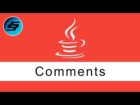 Comments Java Programming