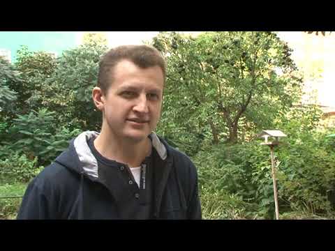 Курские водители сели за руль в День без автомобиля