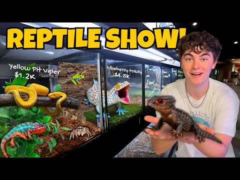 Eine Tour durch diese riesige Reptilienausstellung!!! *Wahnsinn*
