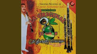 Necesito una Compañera