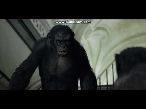 Dawn of the Planet of the Apes - Ash's Death