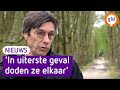 Veluwe zit al bijna vol met wolven | Omroep Gelderland