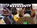 SHREDDED CHEST AND SHOULDER WORKOUT!! 7 weeks out!!