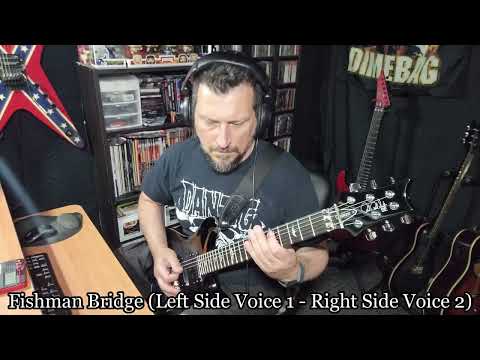 PRS with Seymour Duncan Vs Fishman Fluence Pickups