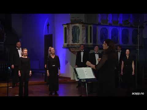 A Cappellissimo - Deilig er jorden (trad./Wegelius)