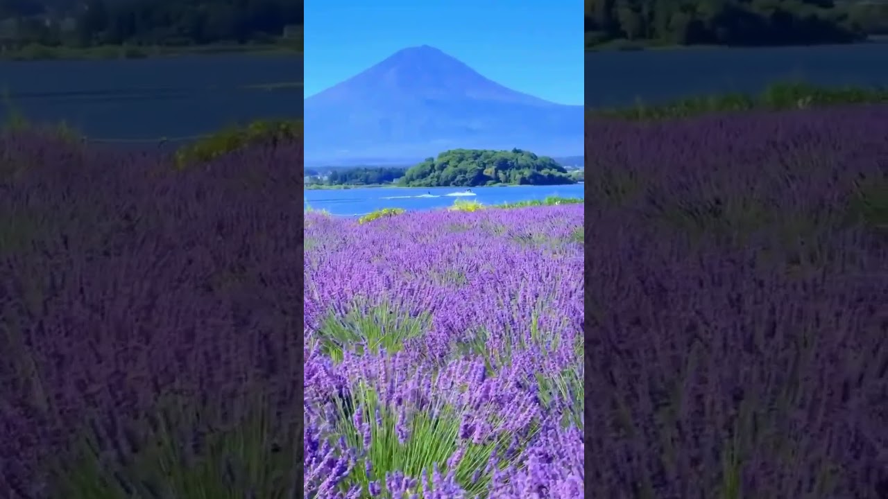 YouTube Short thumbnail