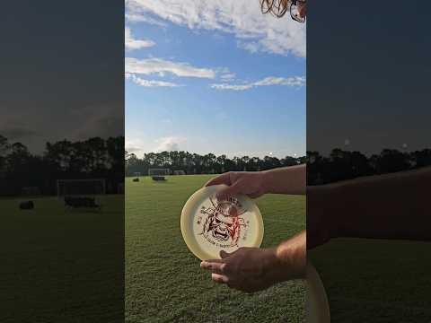 Infinite Dynasty vs Roman #discgolf #review