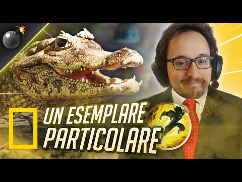 IL RENEKTON PIÙ STRANO MAI VISTO ft. CuginoAngela