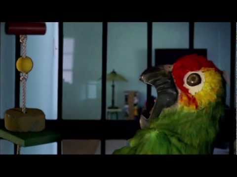 Alex Davis Music 2011 Reel