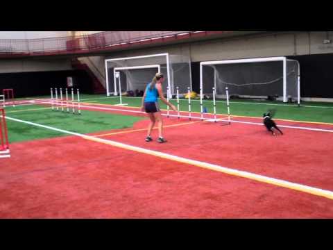 NC Regionals Streak Team Snook