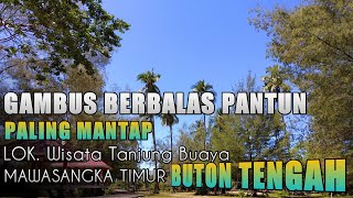 Download lagu Gambus Berbalas Pantun | Daratan Muna | Paling Mantap | Wisata Tanjung Buaya |  MASTIM Buton Tengah mp3