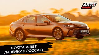 Toyota вернулась через Казахстан. Mazda возобновила продажи. Honda продолжает работу 📺 Новости №3322