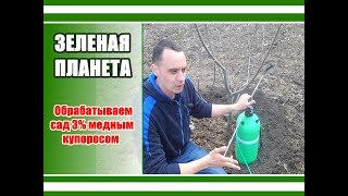 Как опрыскивать деревья весной железным купоросом