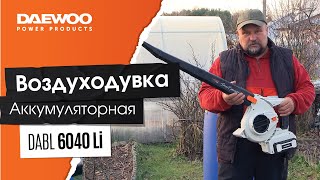 Аккумуляторная воздуходувка — Тест Драйв // Полный обзор DAEWOO DABL 6040Li